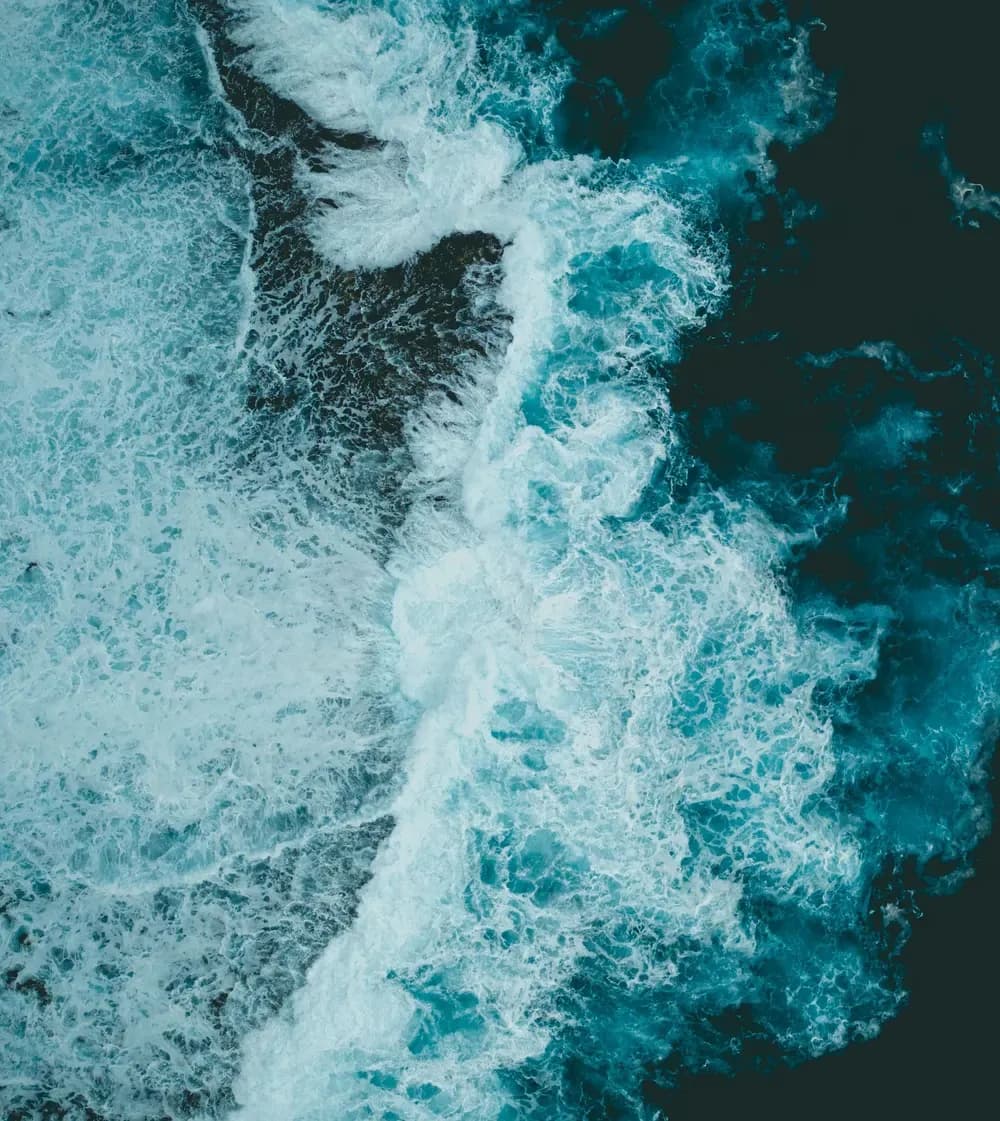 IAMI Guest CoC Program